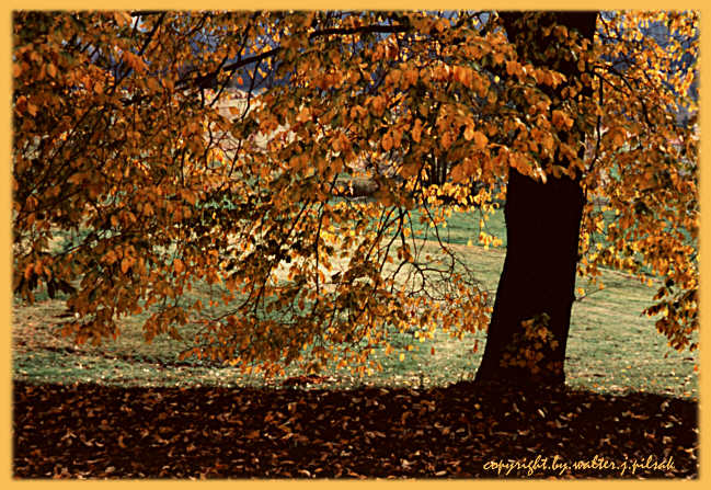 Goldener Oktober