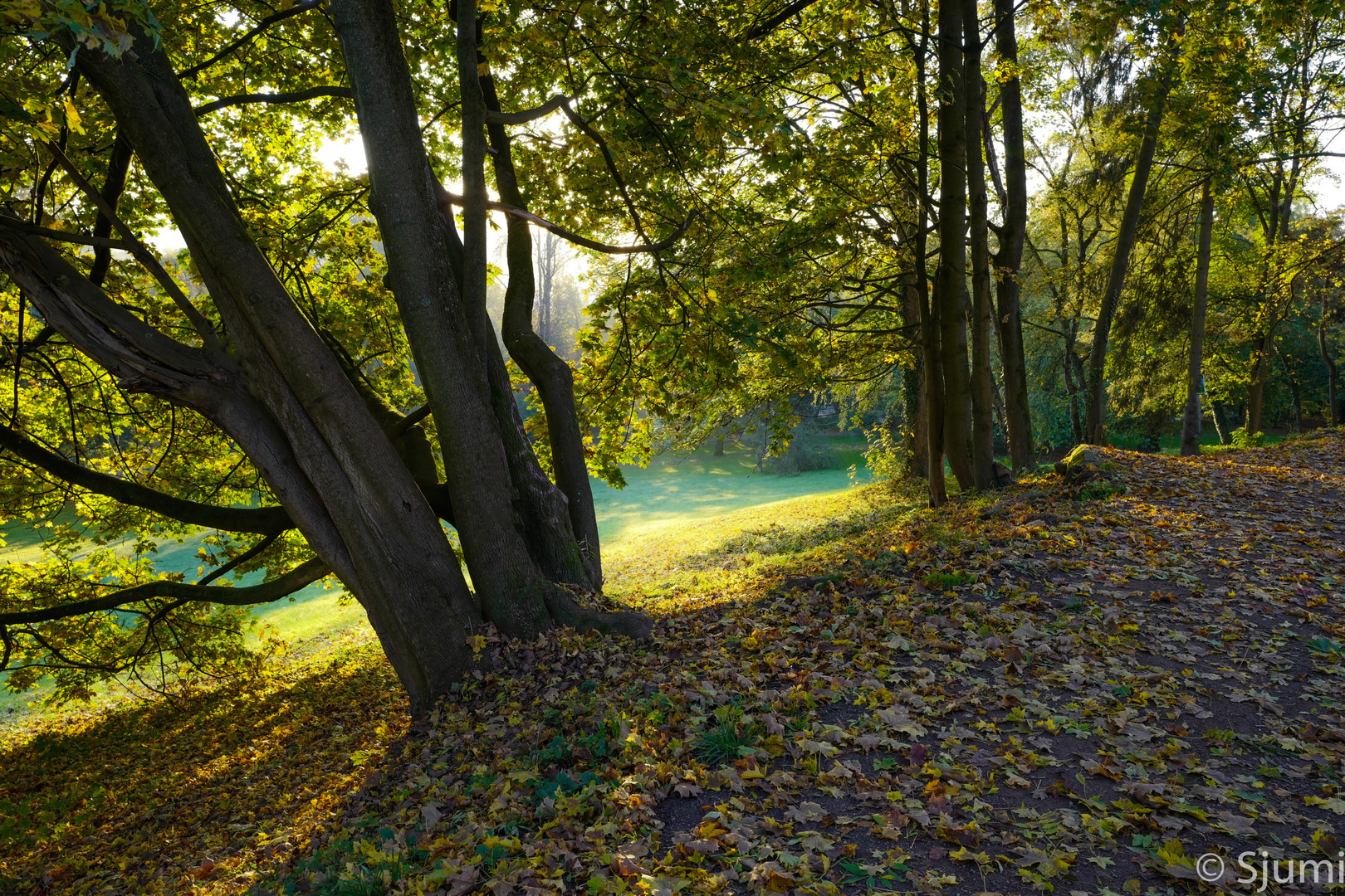 Goldener Oktober 