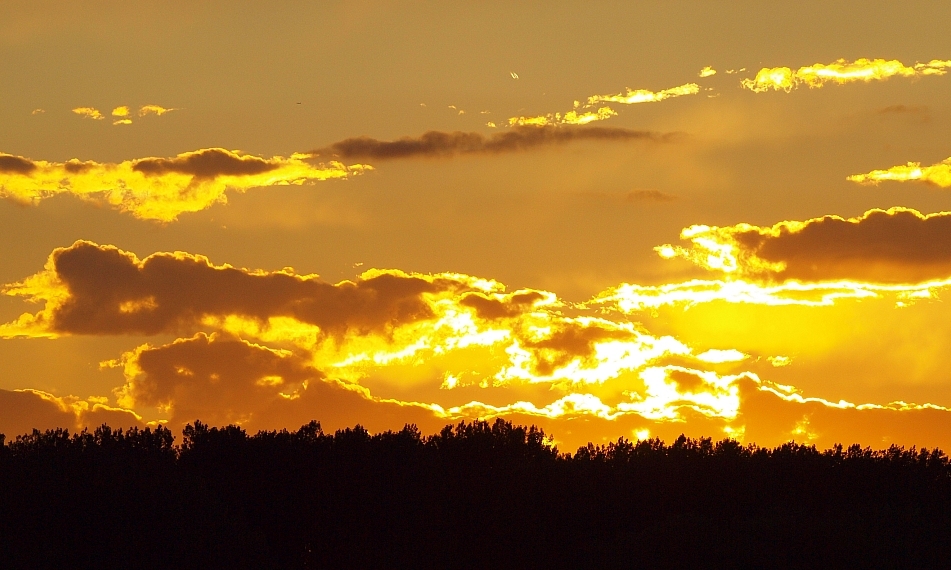 goldener Oktober