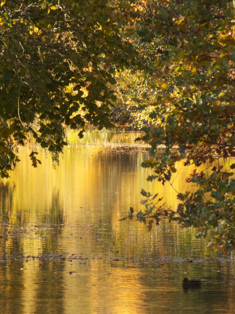 Goldener Oktober