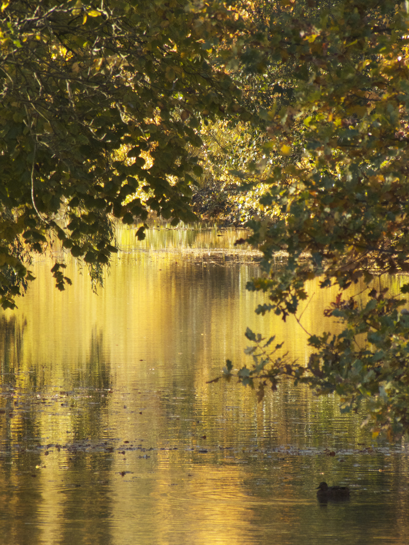 Goldener Oktober