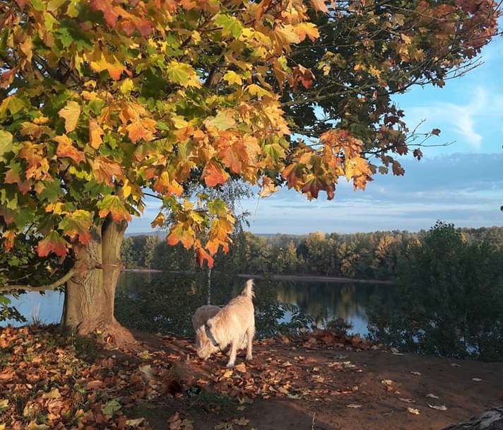 Goldener Oktober