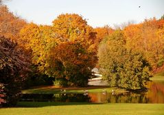 Goldener Oktober