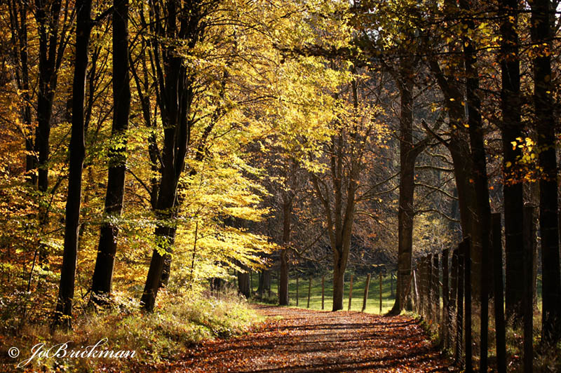 Goldener Oktober