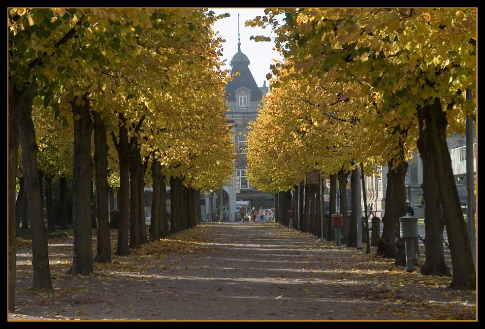 goldener oktober