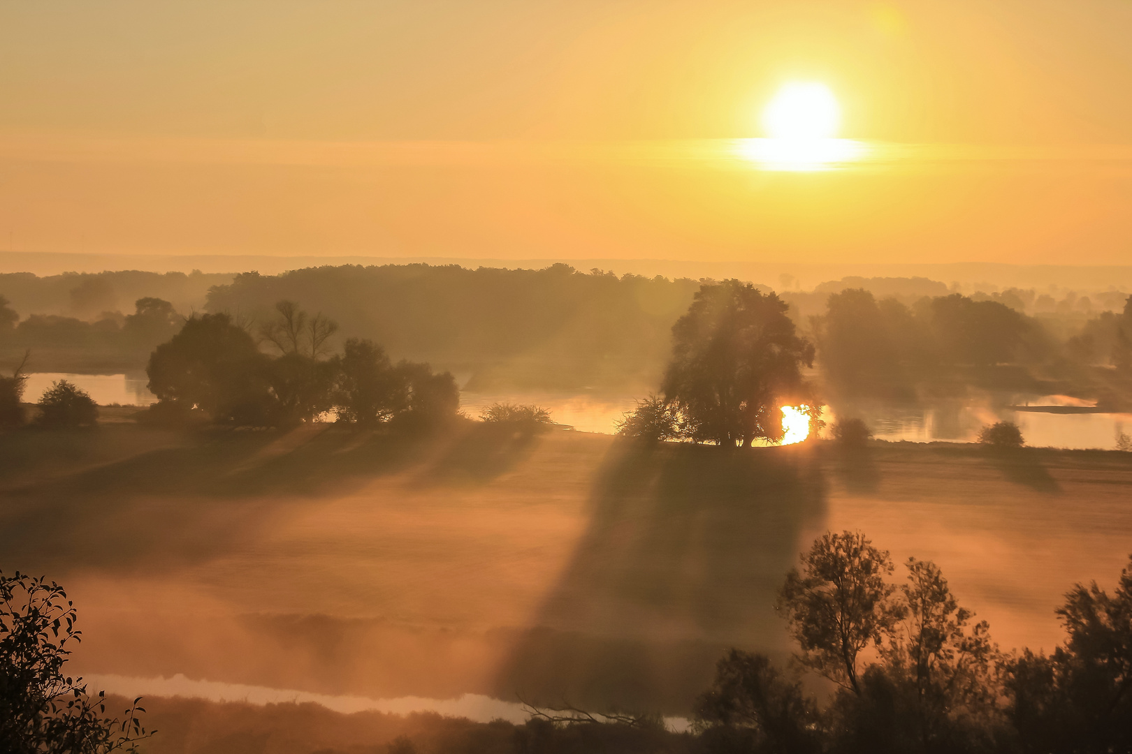 Goldener Oktober