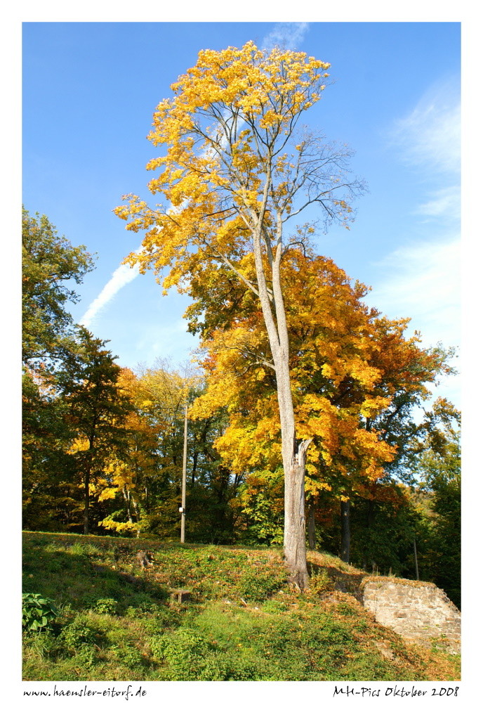 "Goldener Oktober"