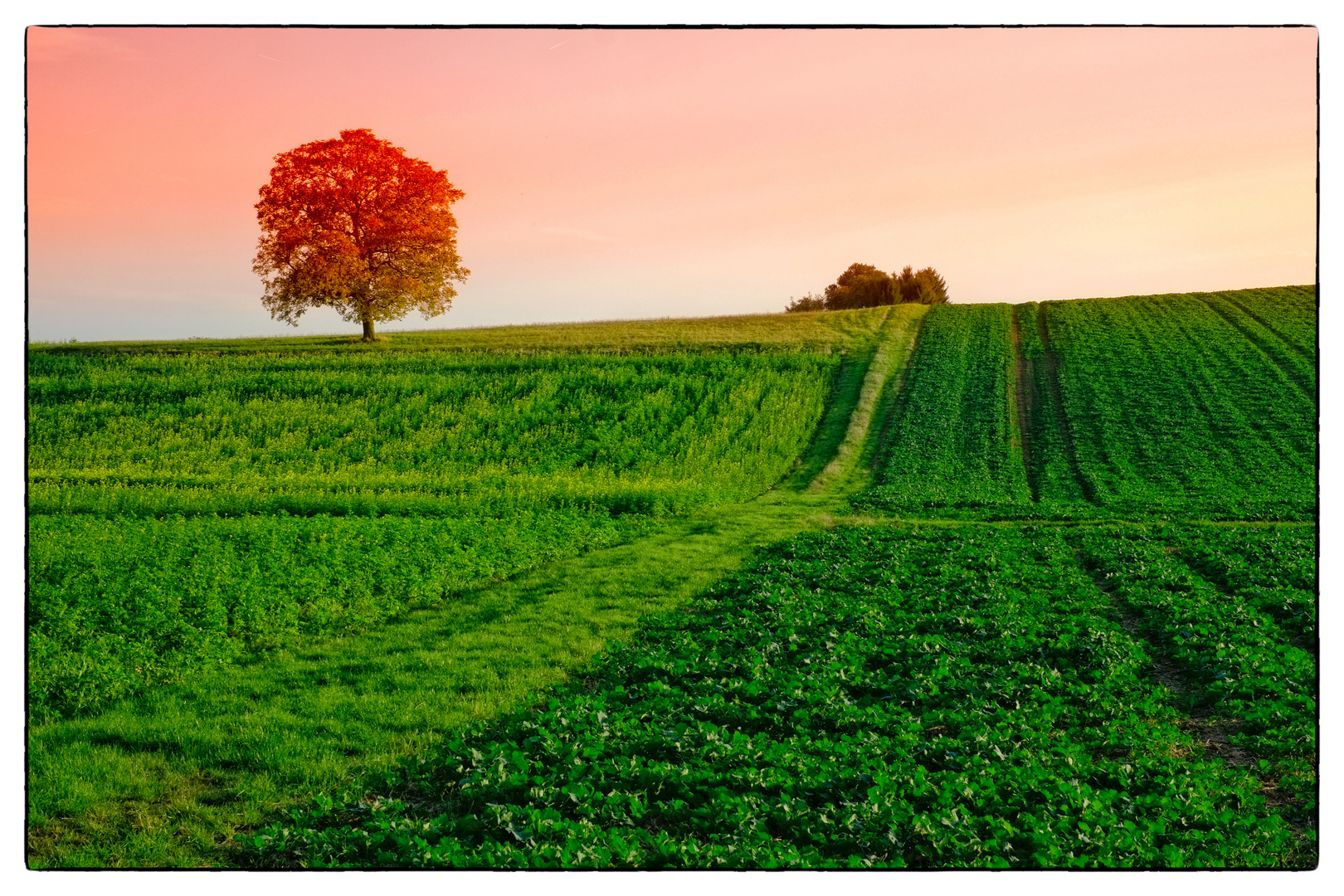 Goldener Oktober