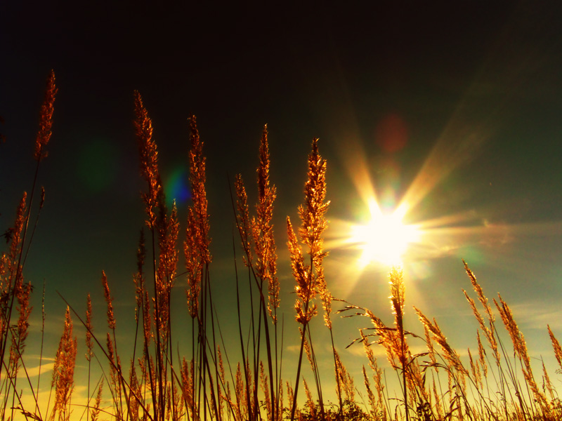 Goldener Oktober