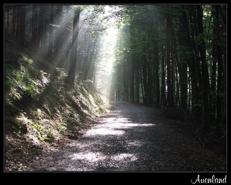 Goldener Oktober