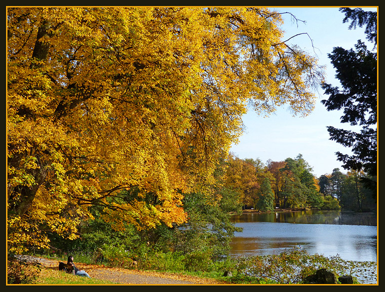 Goldener Oktober