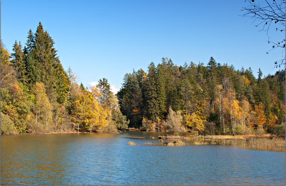 Goldener Oktober