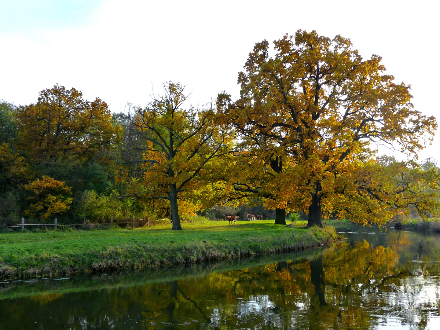 goldener Oktober