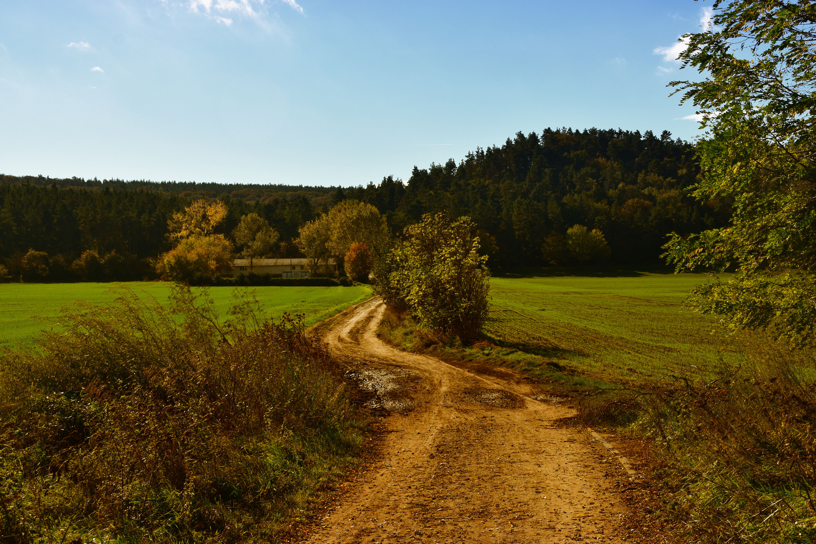 Goldener Oktober