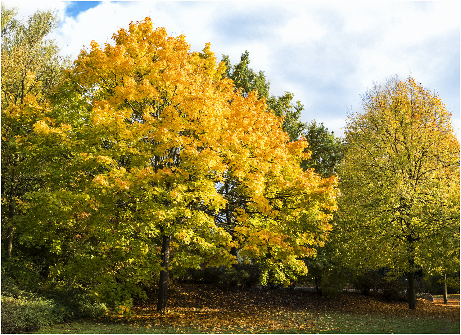 Goldener Oktober