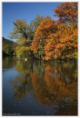 Goldener Oktober