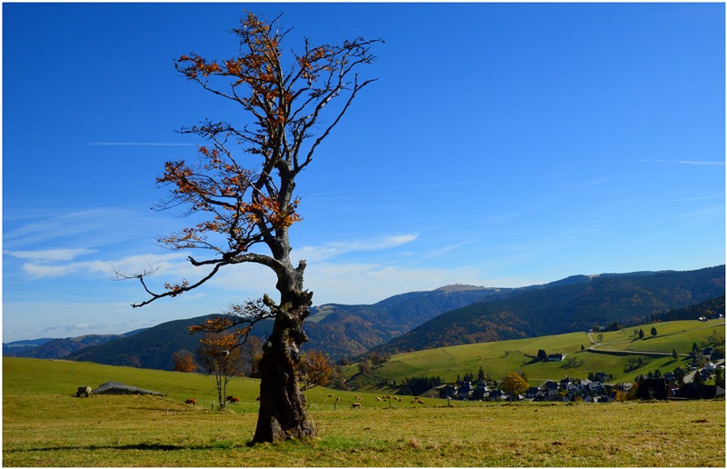 Goldener Oktober 