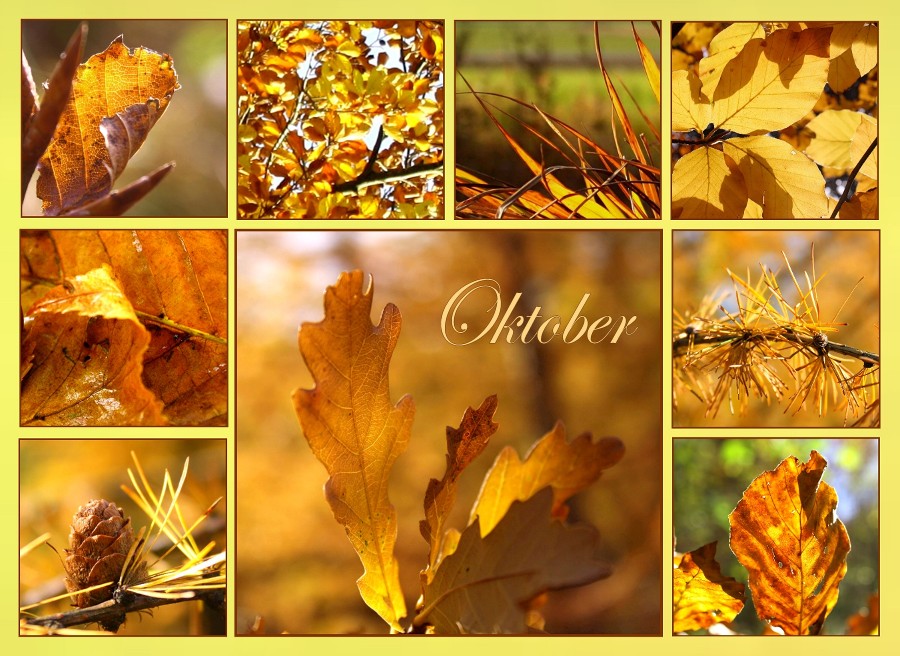 Goldener Oktober