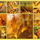 Goldener Oktober