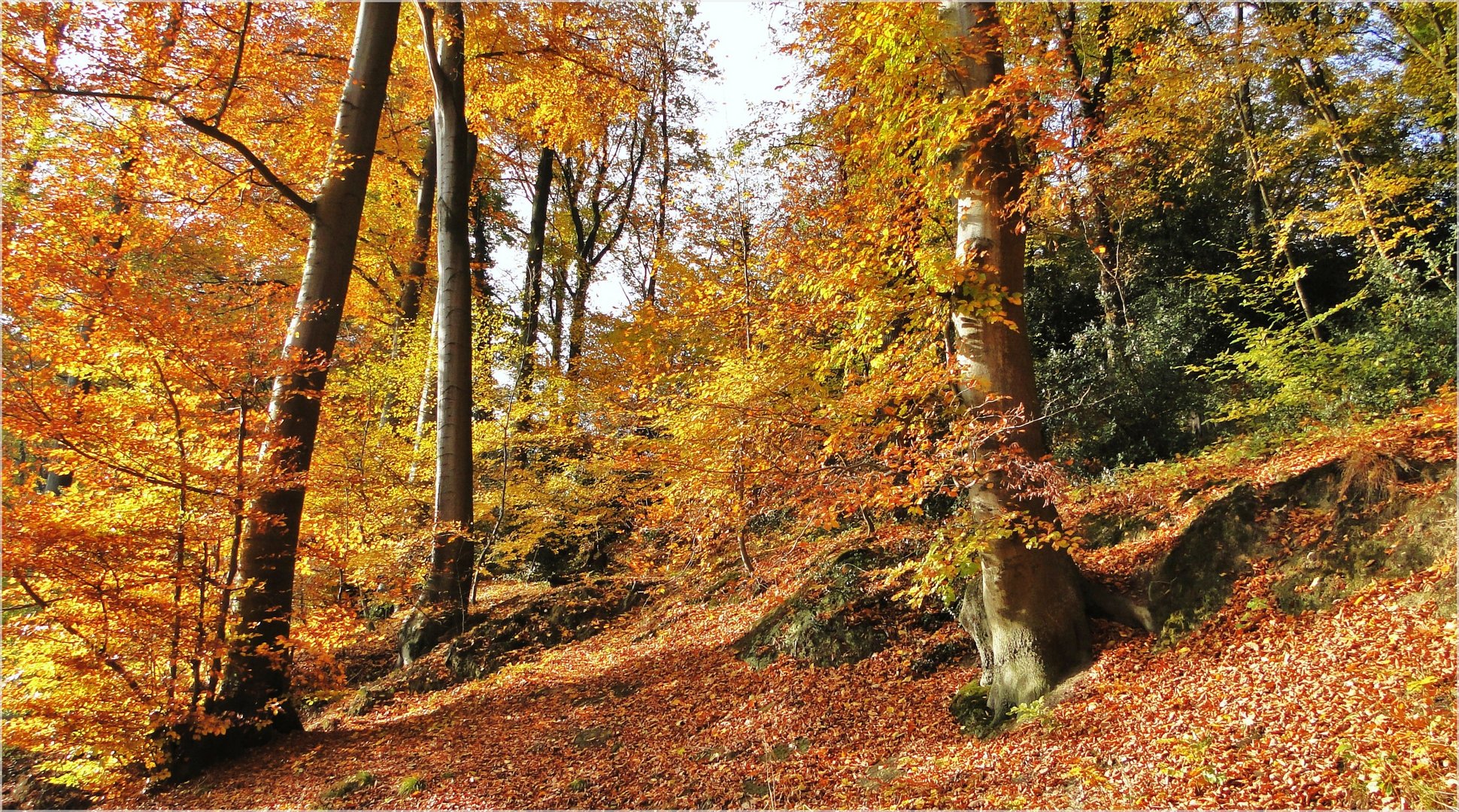 Goldener Oktober ...