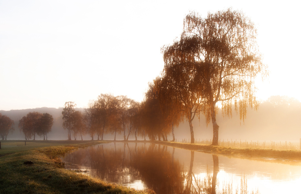 Goldener Oktober