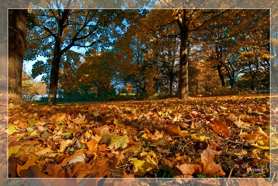 Goldener Oktober