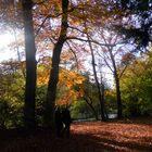 Goldener Oktober