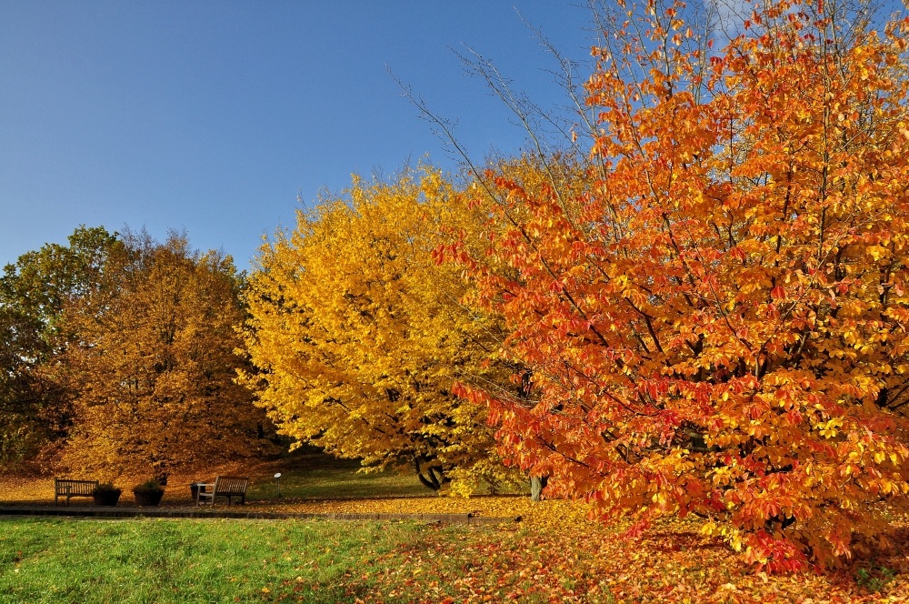 Goldener Oktober....