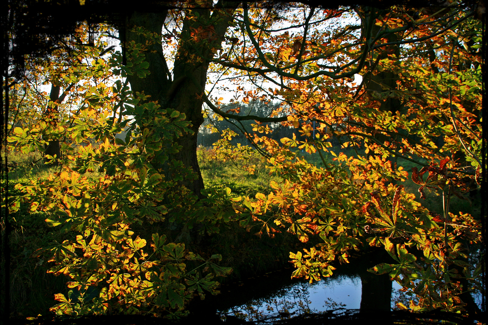 Goldener Oktober