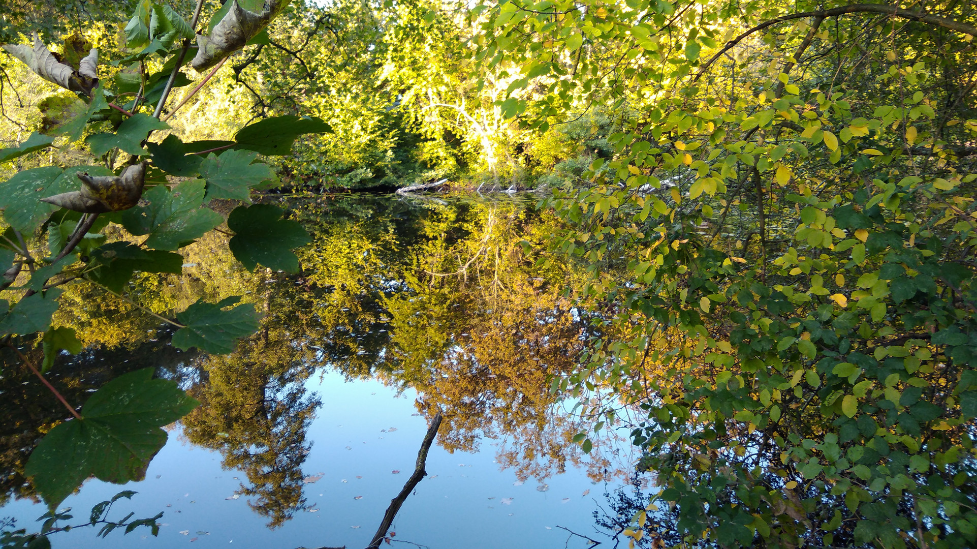 "goldener Oktober"