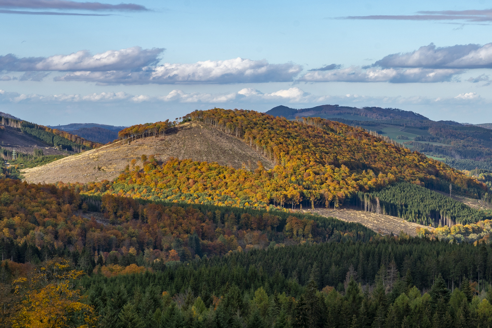 Goldener Oktober