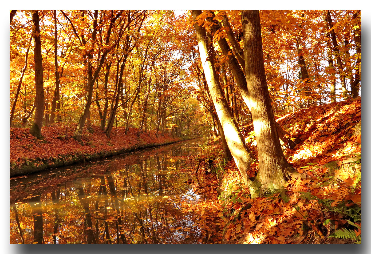 goldener Oktober