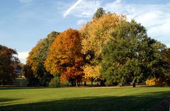 Goldener Oktober