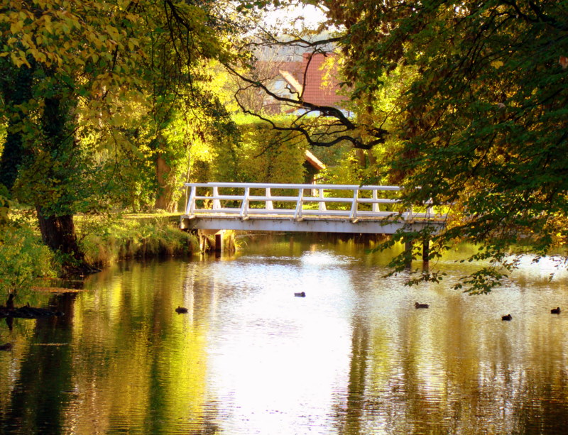 goldener Oktober