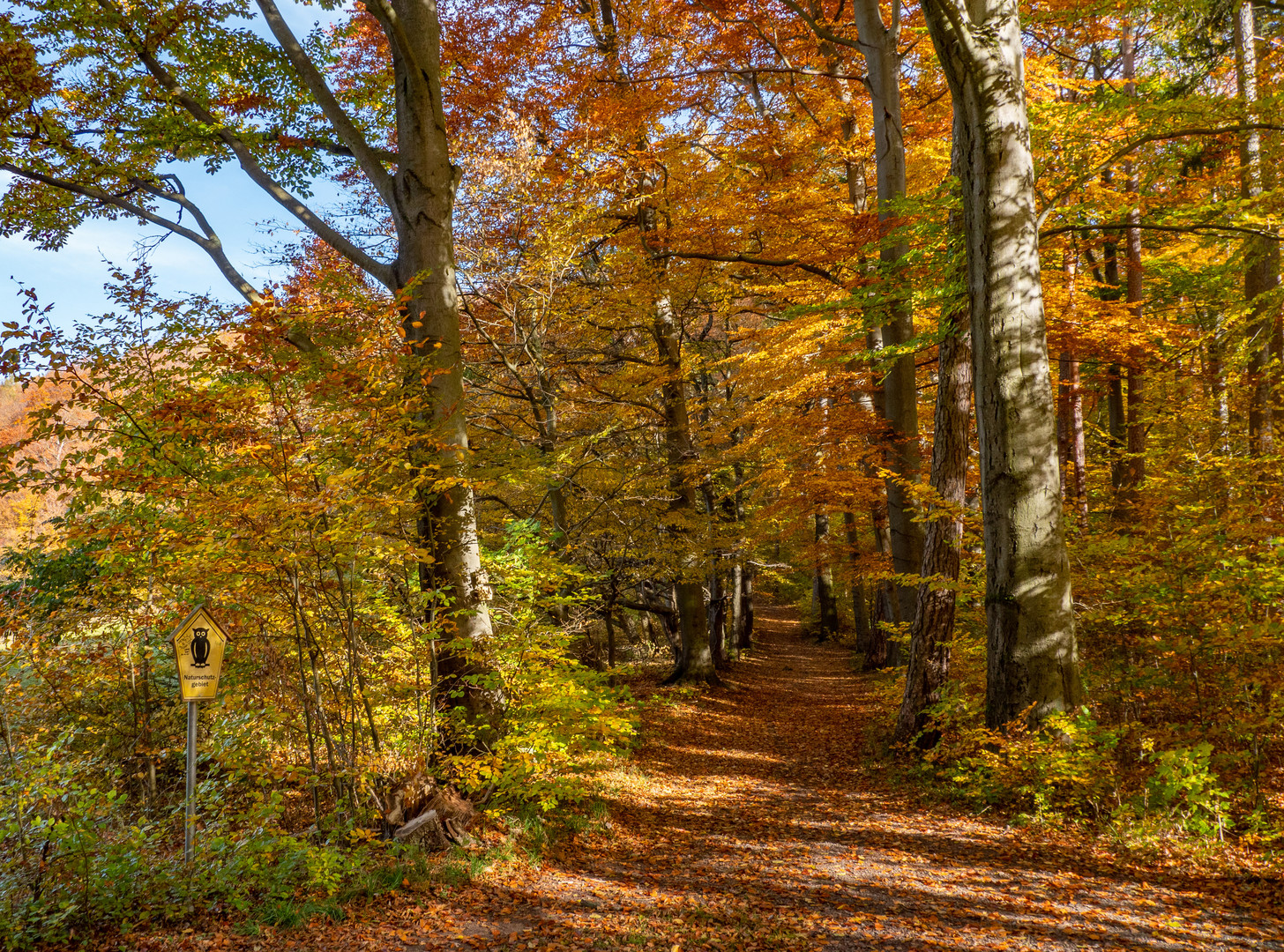 Goldener Oktober