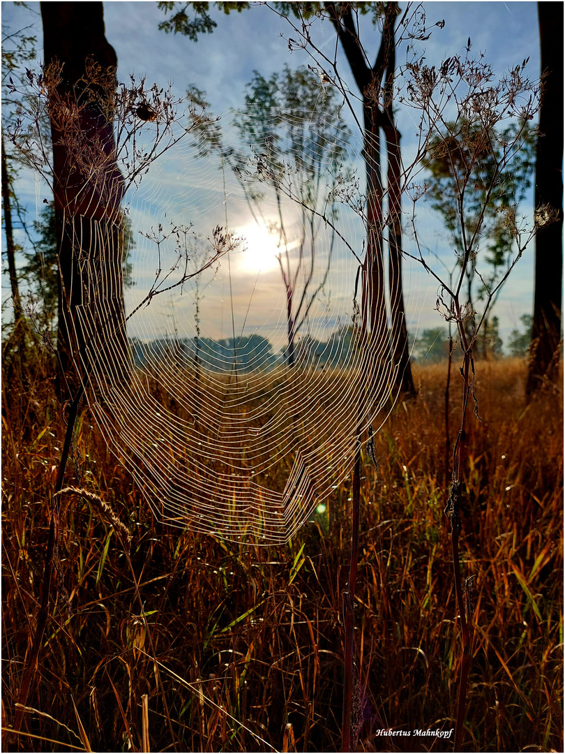 Goldener Oktober