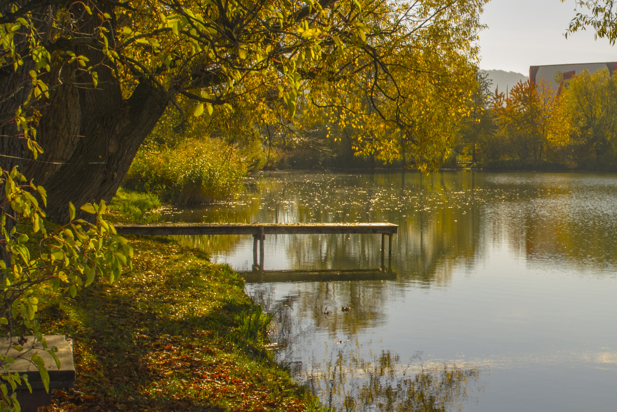 Goldener Oktober