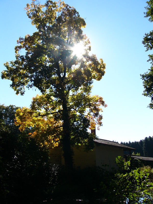 goldener Oktober