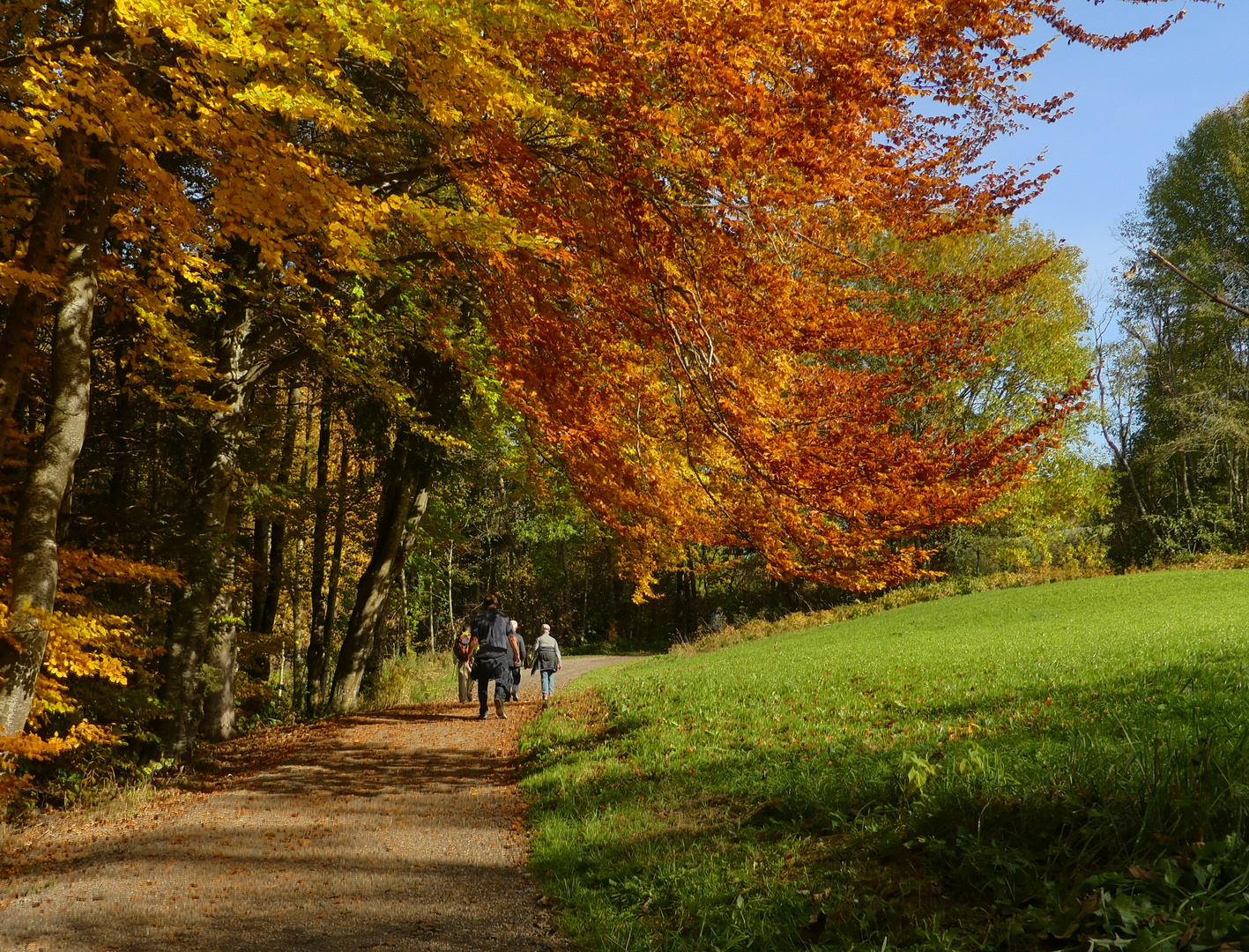 Goldener Oktober