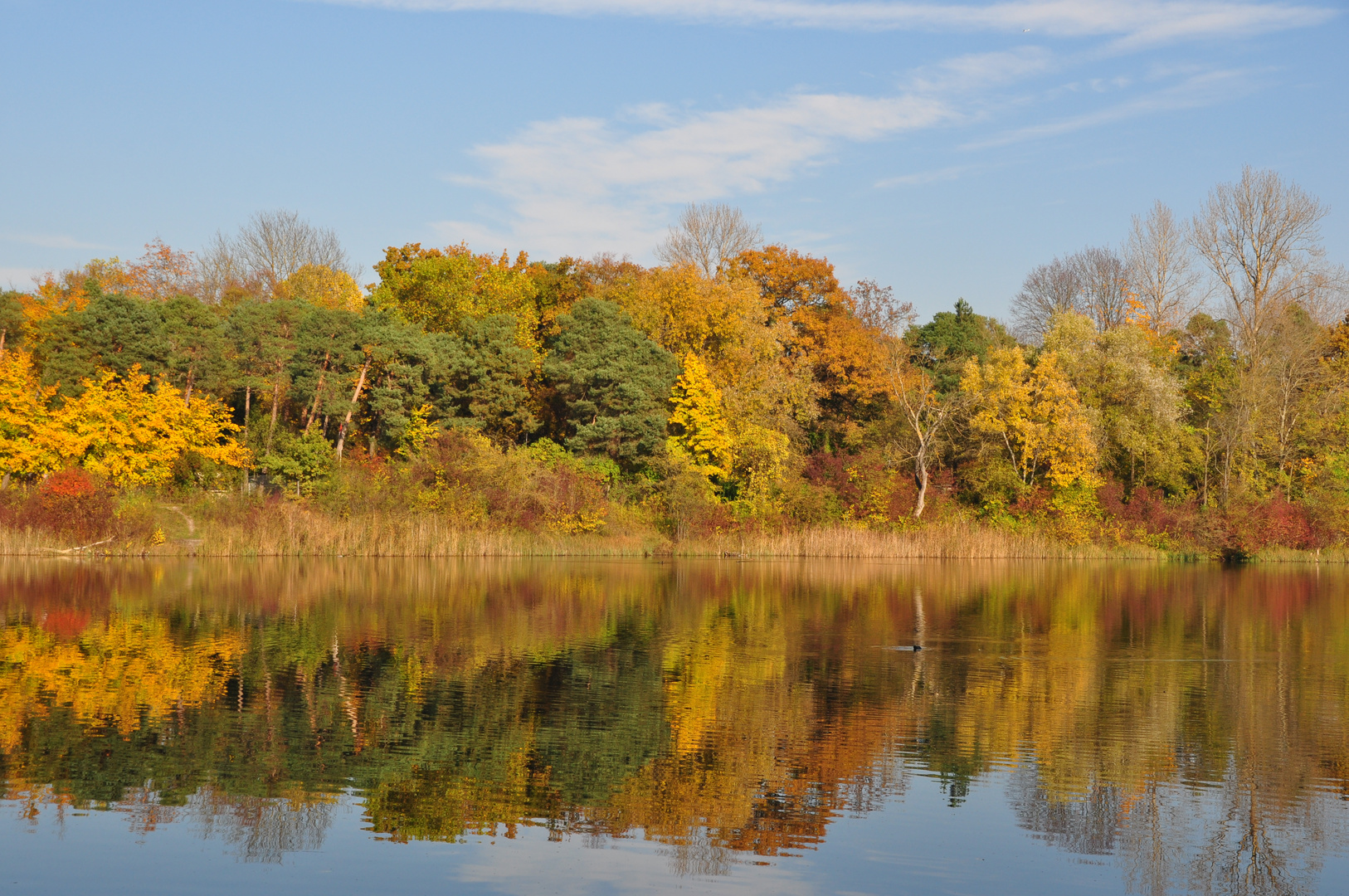 Goldener Oktober