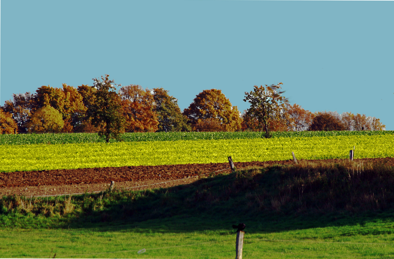 goldener Oktober