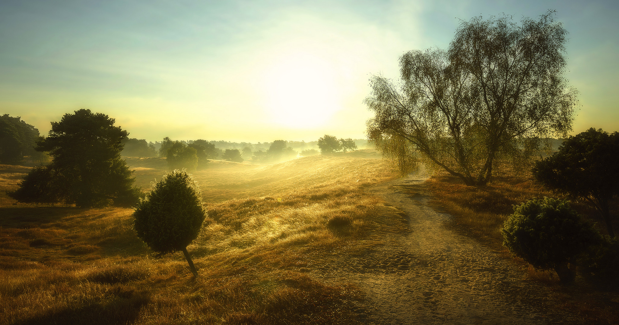 Goldener Oktober