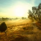 Goldener Oktober