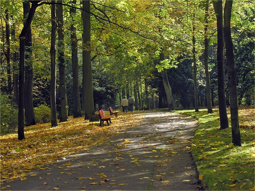 Goldener Oktober