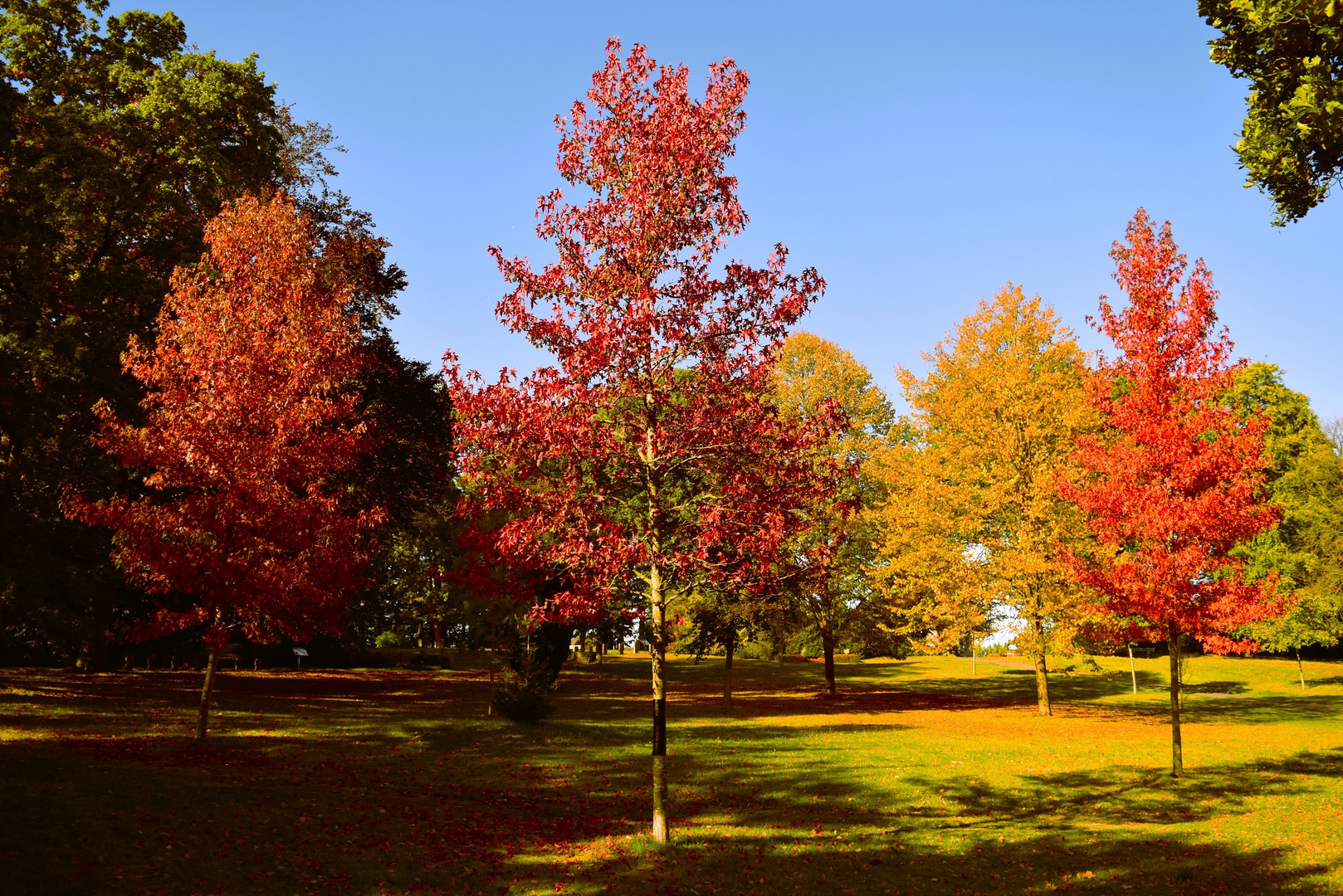 Goldener Oktober