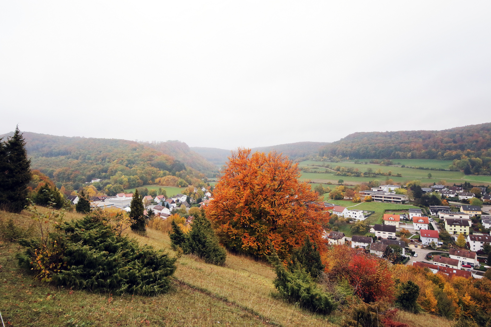 Goldener Oktober