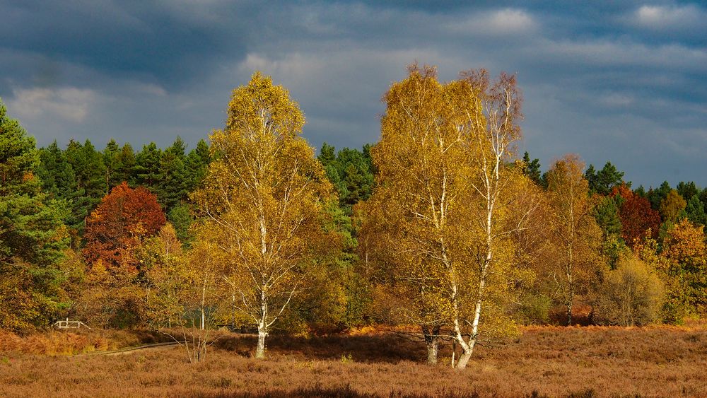 Goldener Oktober 