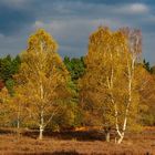 Goldener Oktober 