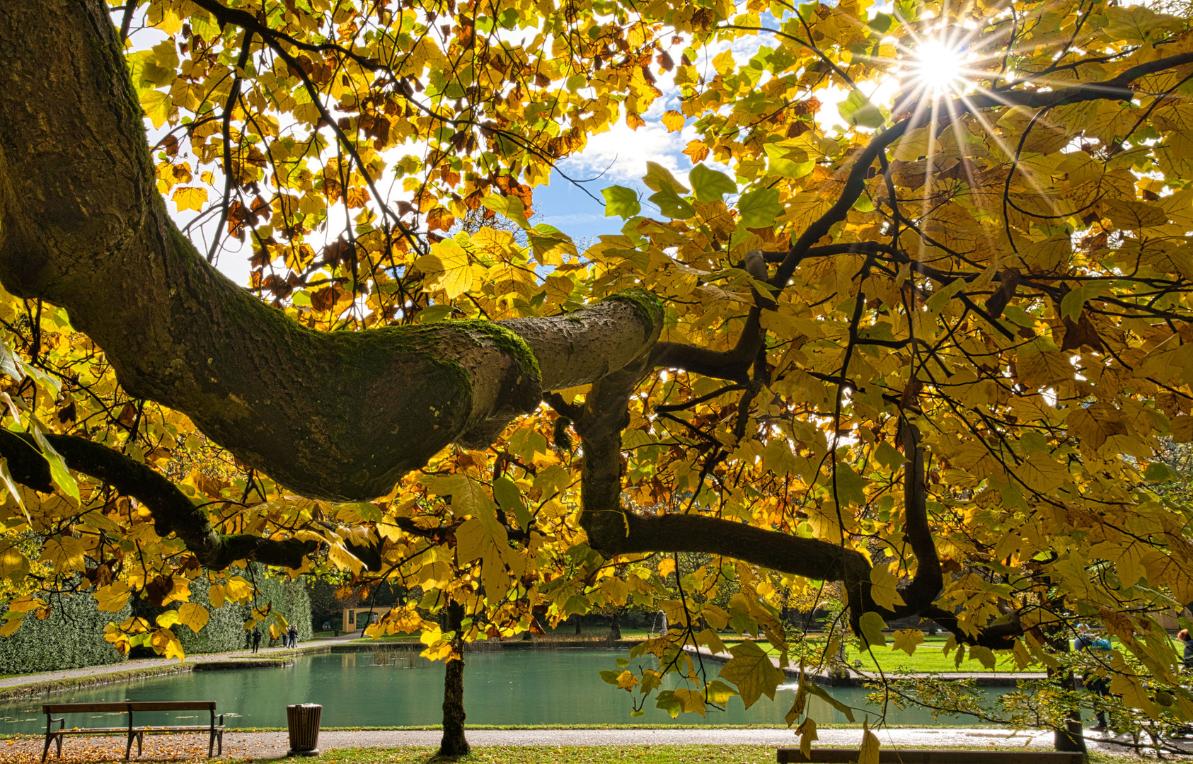 Goldener Oktober