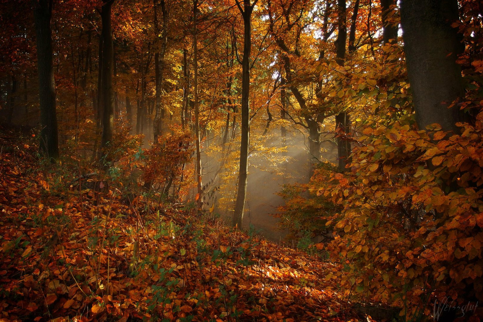 Goldener Oktober